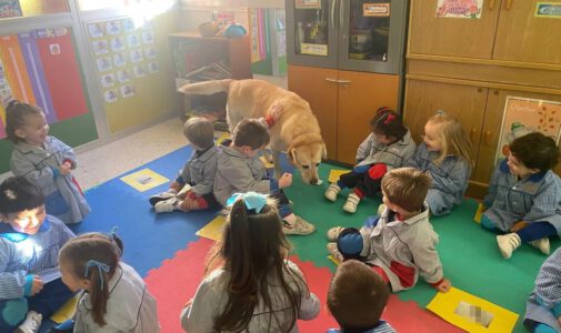 Curro y Fariña vuelven al colegio