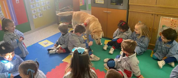 Curro y Fariña vuelven al colegio