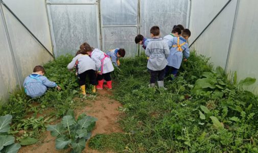 Preparando la tierra del huerto