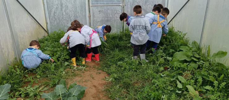 Preparando la tierra del huerto